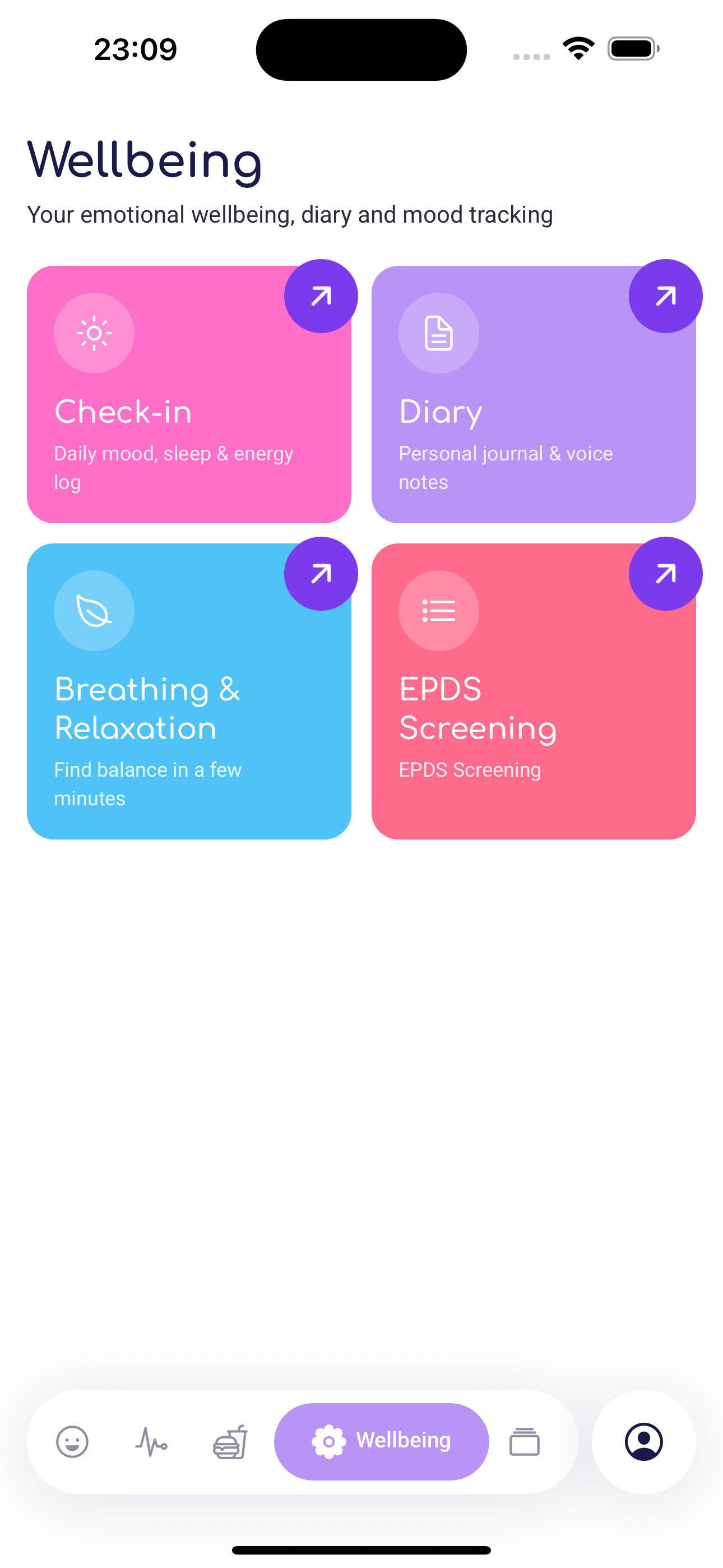 Wellbeing